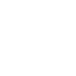 KPI Icon